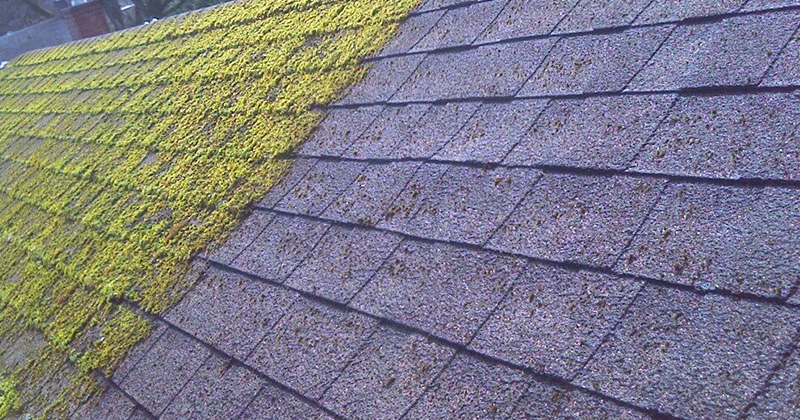 services_0004_s-l1600