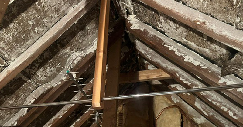 services_0002_main-qimg-53cb391b84a8160052fc06216e363000-lq